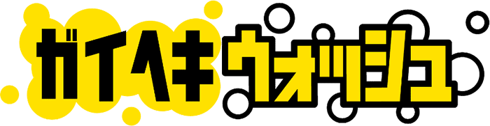 ガイヘキウォッシュ